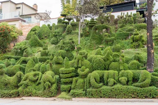 Elaborate topiaries shaped like animals and figures in a front yard
