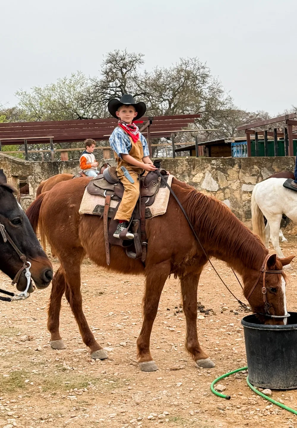 Your Essential Guide to Finding the Best Texas Vacation Spots