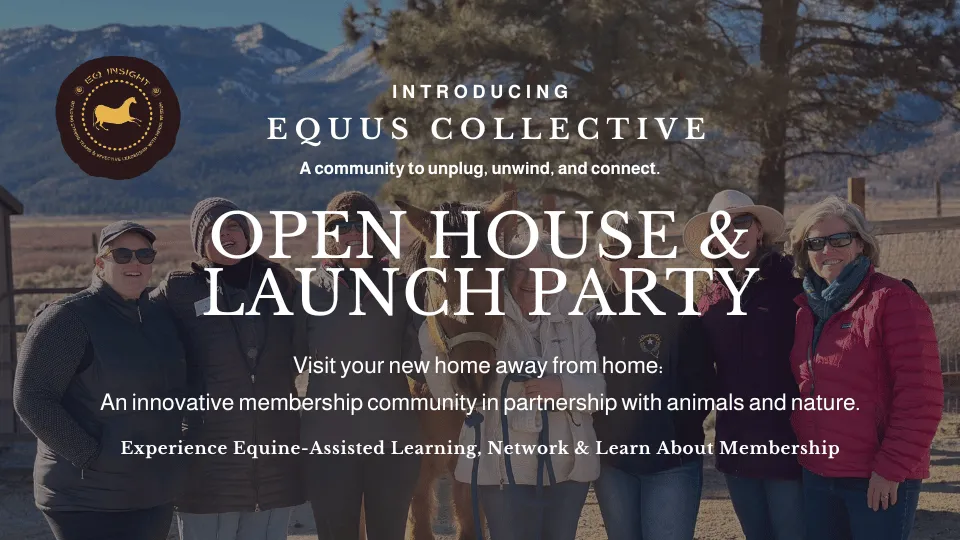 Equus Collective Open House flyer hints at unique reno activities