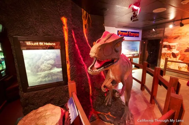 Exhibit inside the Creation and Earth History Museum