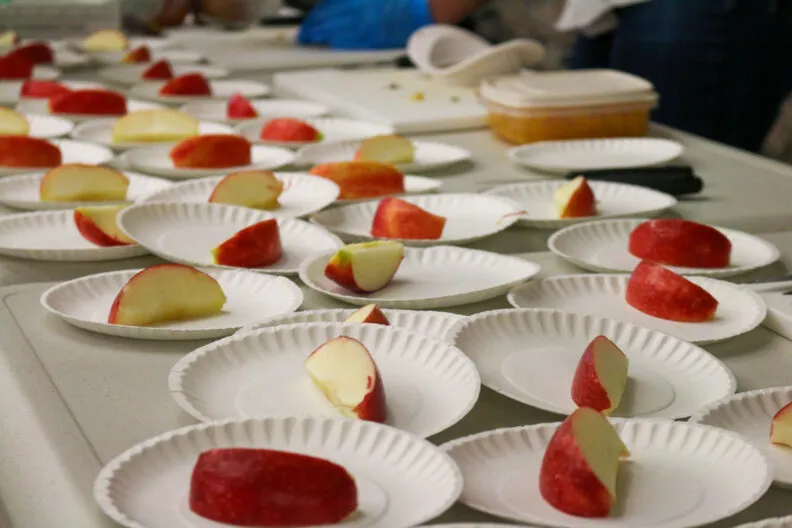 Exploring fruit science with Cosmic Crisp apples at WSU.