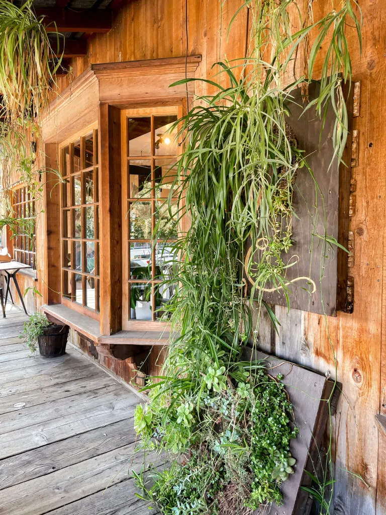 Exterior of a coffee shop in Temecula, California