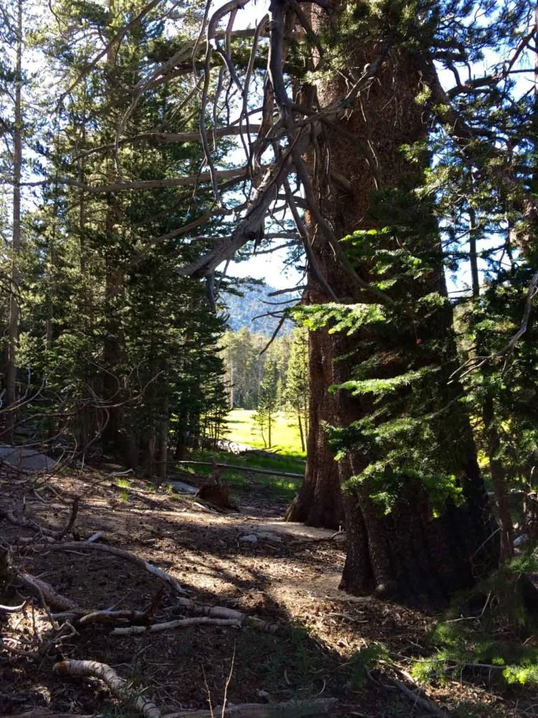 First Look at Round Valley