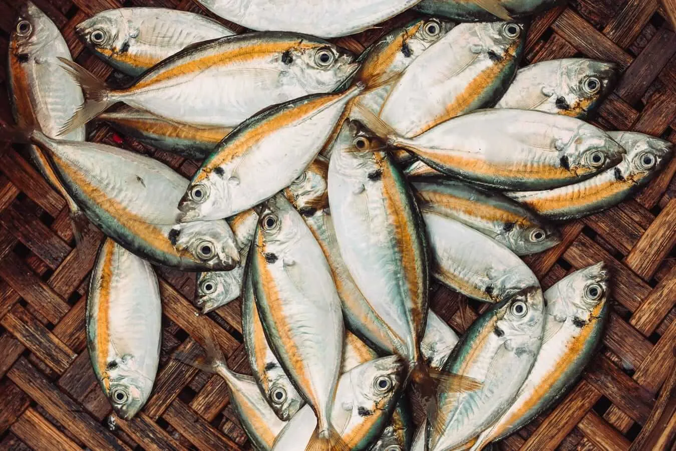 Fresh fish for sale in the Hoi An Market. Photo: Antonia Lira