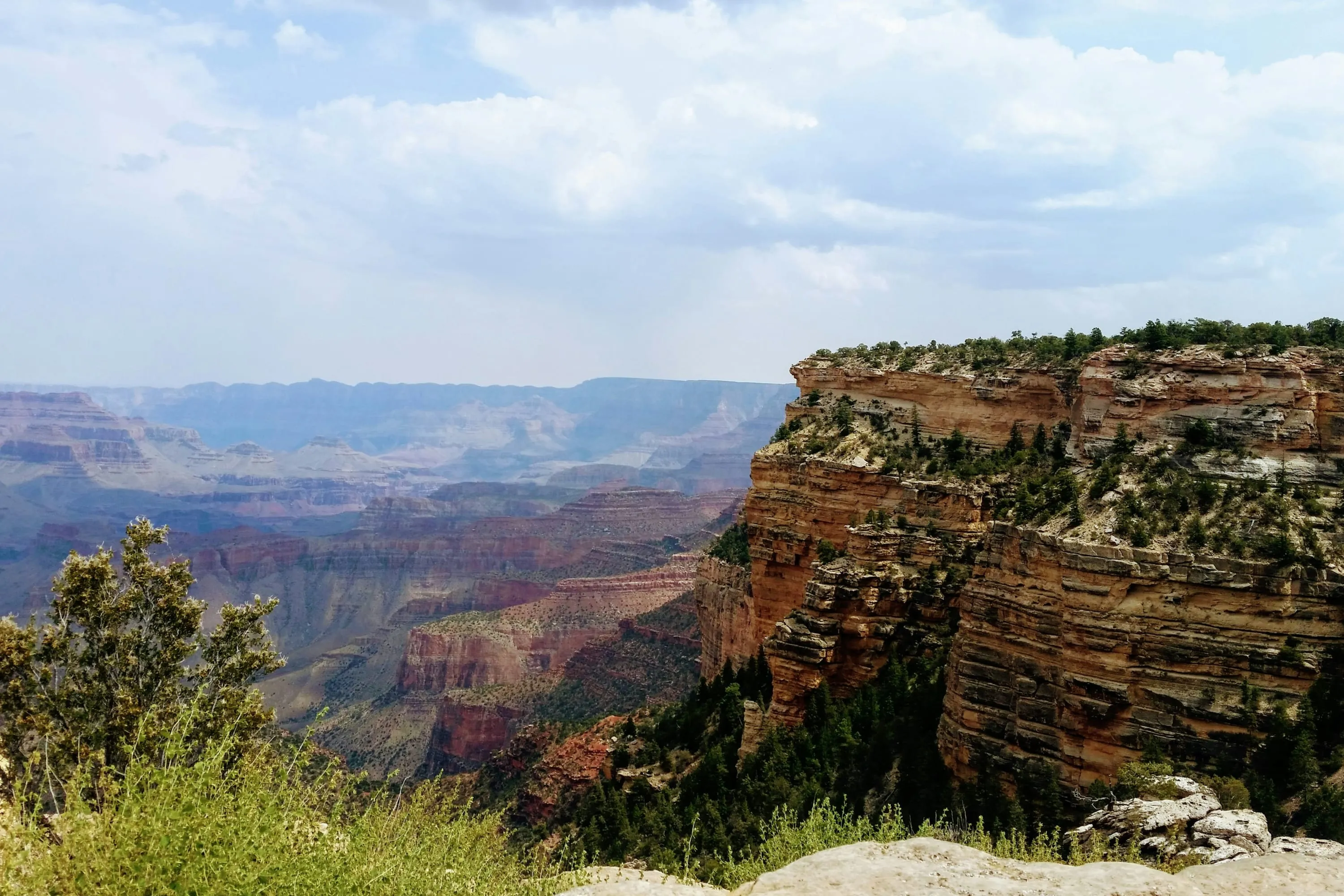 From the top of the canyon rim, with some vegetation: the chasm appears massive and lengthy, and the canyon walls are colorful and dotted with trees