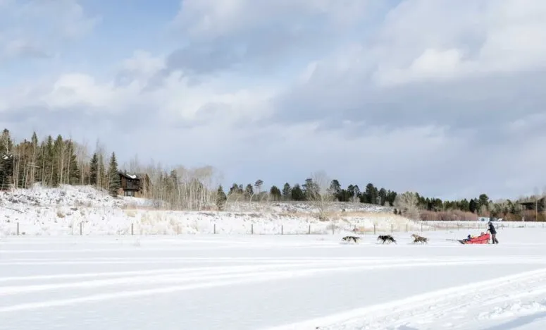 Getting a practice ride on a dog sled during a Jackson Hole Wyoming vacation