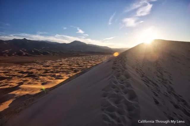 Golden light illuminates the sweeping curves of the Kelso Dunes in Mojave National Preserve at sunset