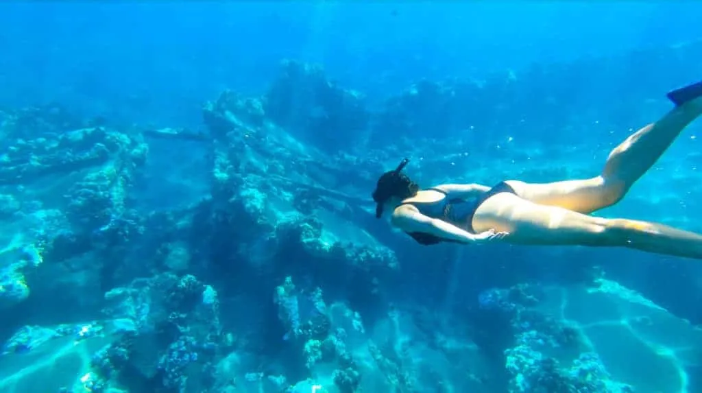 Hawaii Trip Planner - Snorkeling near Lahaina, Maui seeing coral