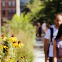 High Line art installation
