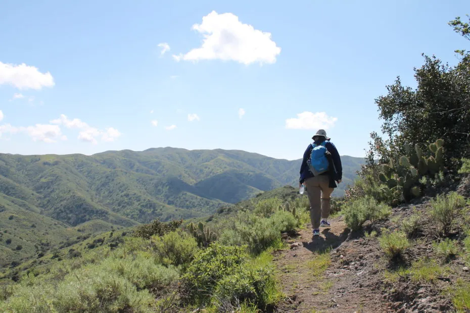 Catalina Island Hikes - Your Guide to Stunning Trails Catalina Island Hikes - Your Guide to Stunning Trails