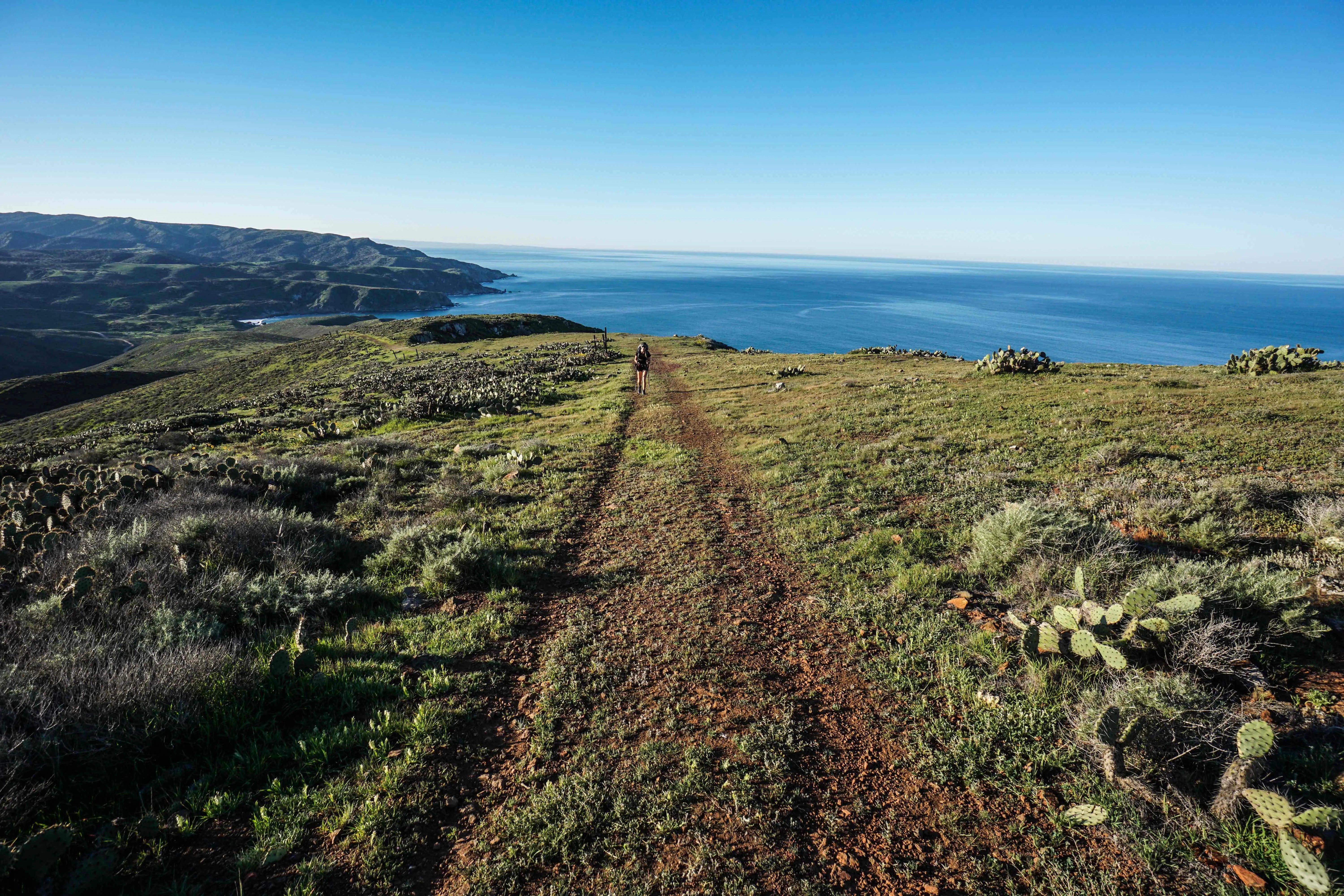 Hiker on a coastal trail overlooking the ocean and Santa Catalina Island