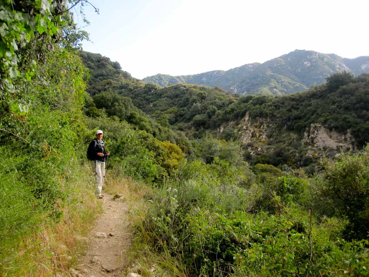 Hikers ascending a trail rising out of Santa Anita Canyon, a backpacking destination near Los Angeles