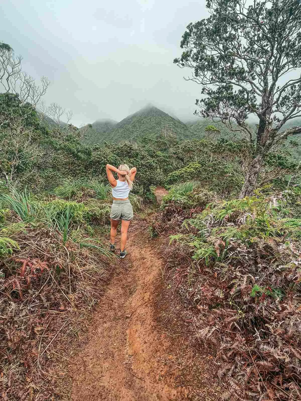 Hikers on the Wiliwilinui Ridge Trail with foggy mountain views
