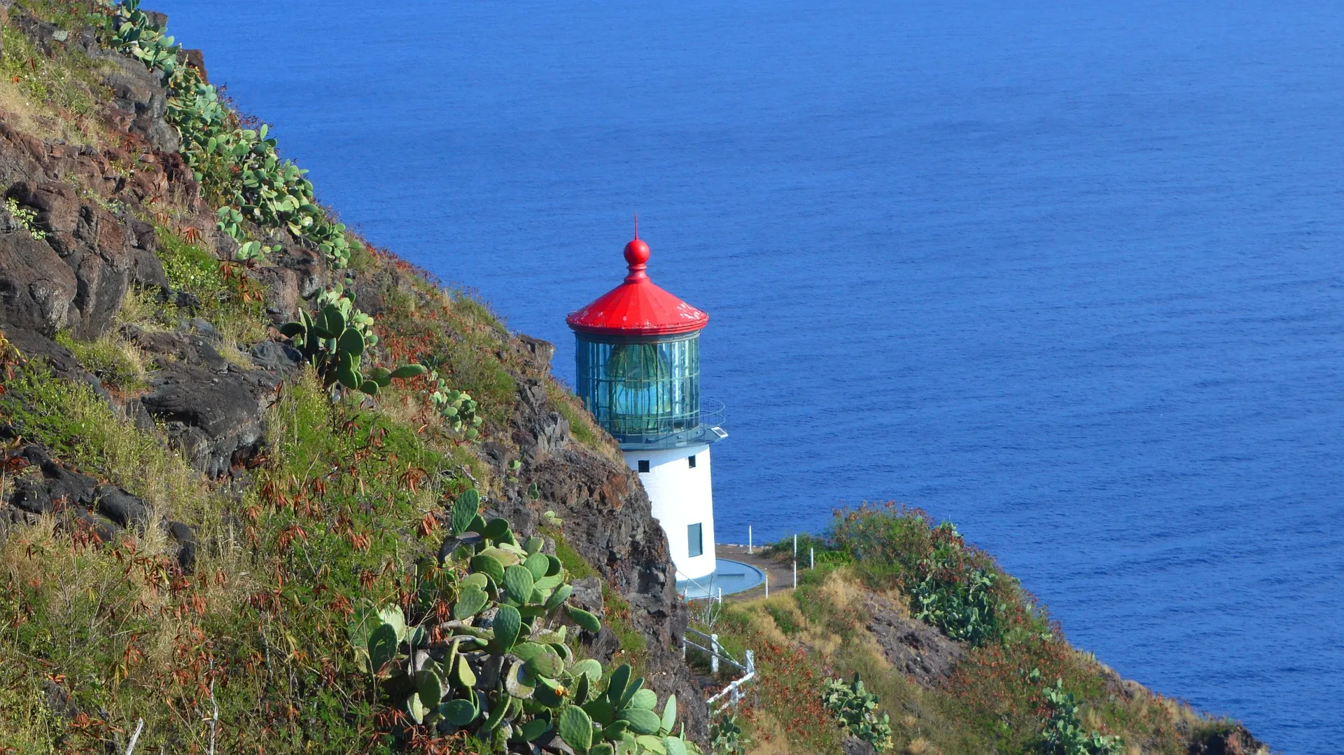 Best Things To See In Honolulu - Your Ultimate Travel Guide Best Things To See In Honolulu - Your Ultimate Travel Guide