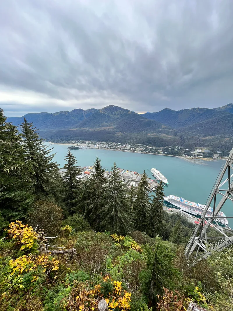 Hiking trail near the top of Mount Roberts Tramway Juneau