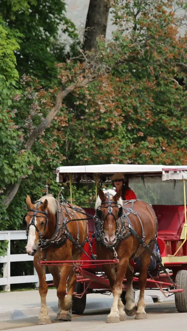 Best Tours to Mackinac Island - Explore History, Nature, and Charm