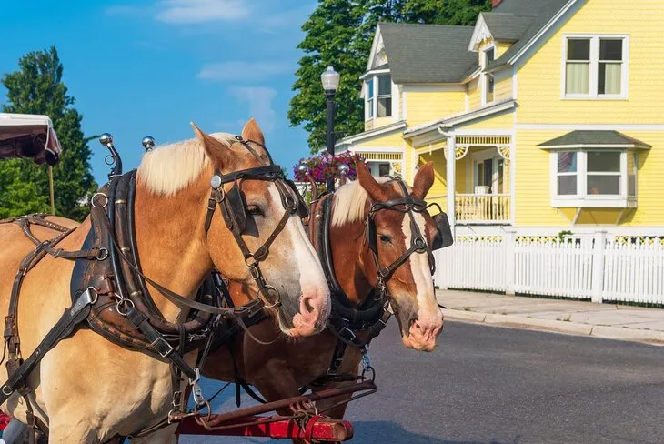 Your Perfect Weekend Awaits - Where to Go in Michigan for a Weekend