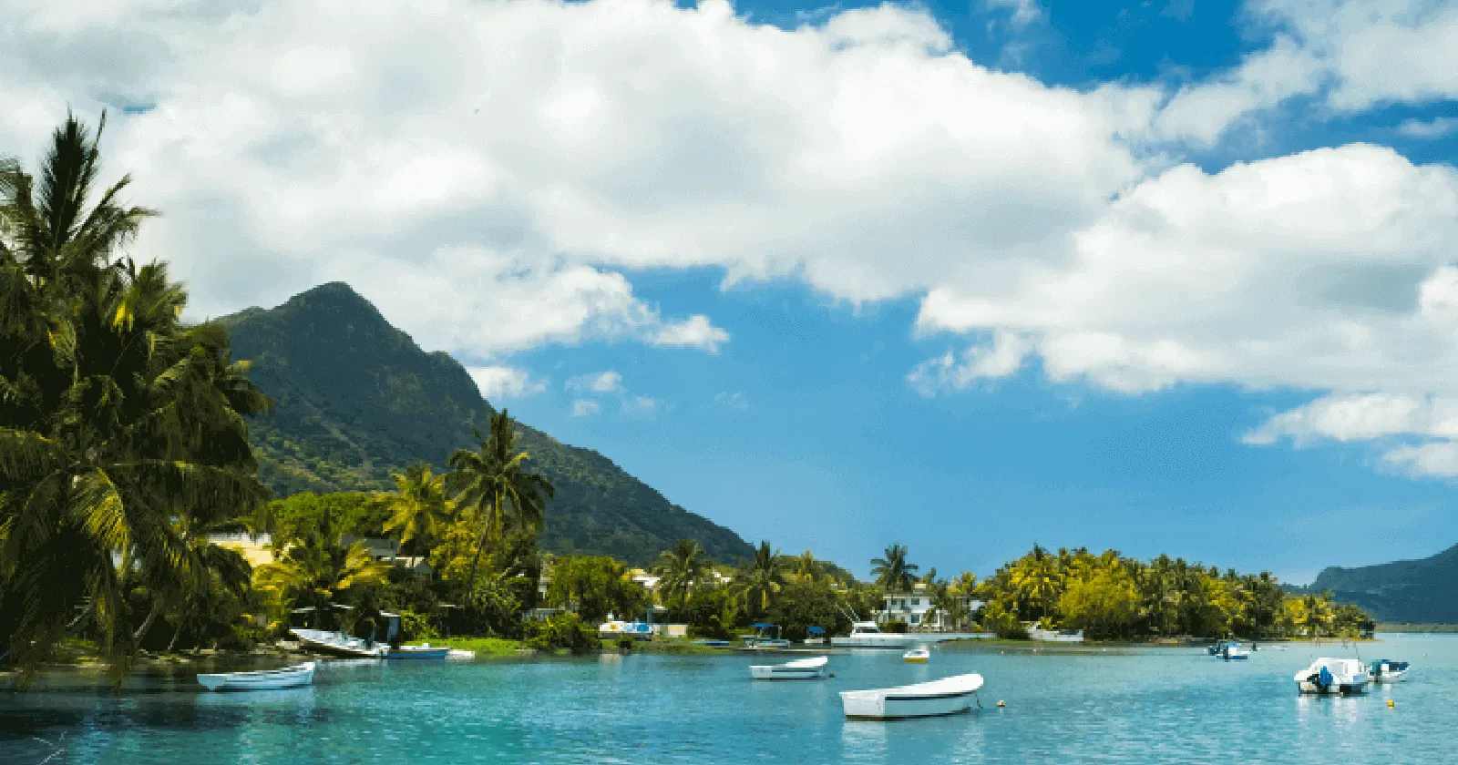 Idyllic beach scene with clear turquoise water and palm trees in Mauritius, perfect for a budget trip.