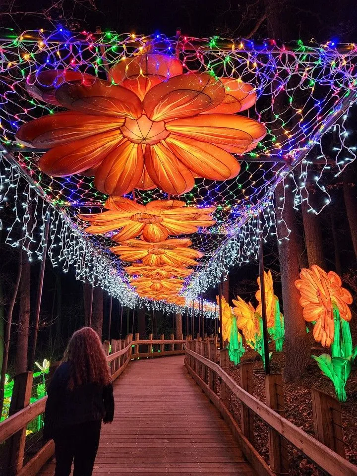 Illuminated Asian lantern displays depicting wildlife at the Grand Rapids Lantern Festival