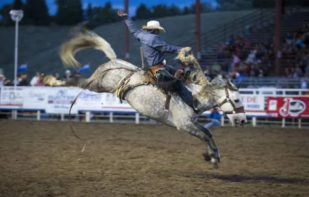 Image of a rodeo cowboy riding a bronc, showcasing Western culture in Wyoming