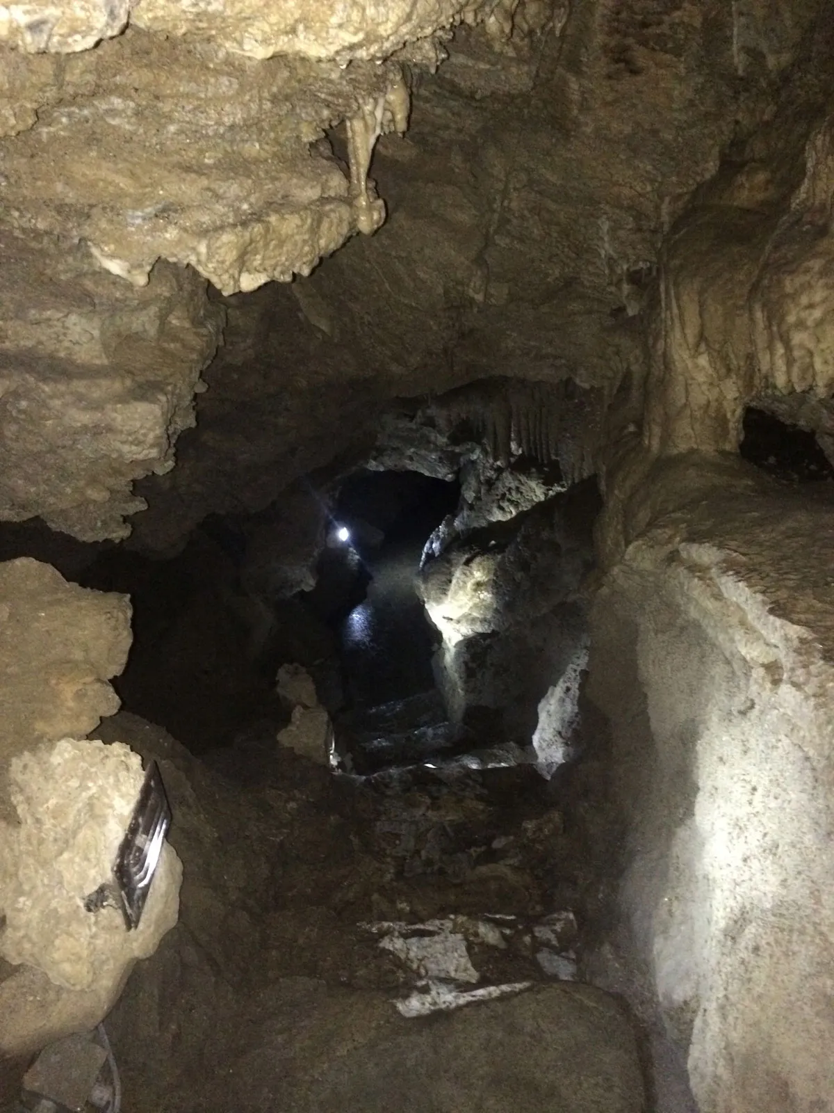 Inside the Oregon Caves, showing the path downwards during an Explore Oregon Tour
