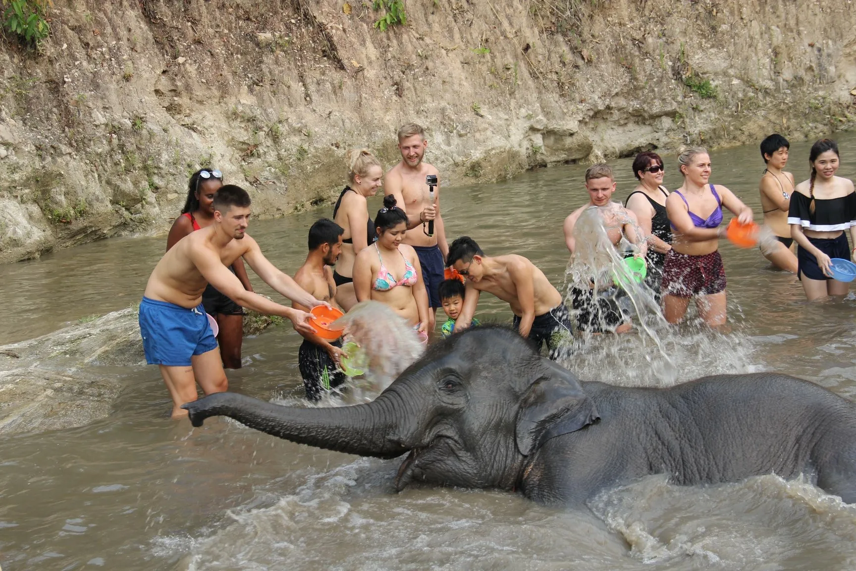 Interacting with a happy elephant at the sanctuary