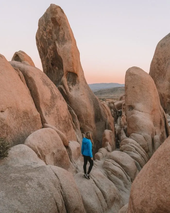 Joshua Tree National Park with distinctive trees and rock formations