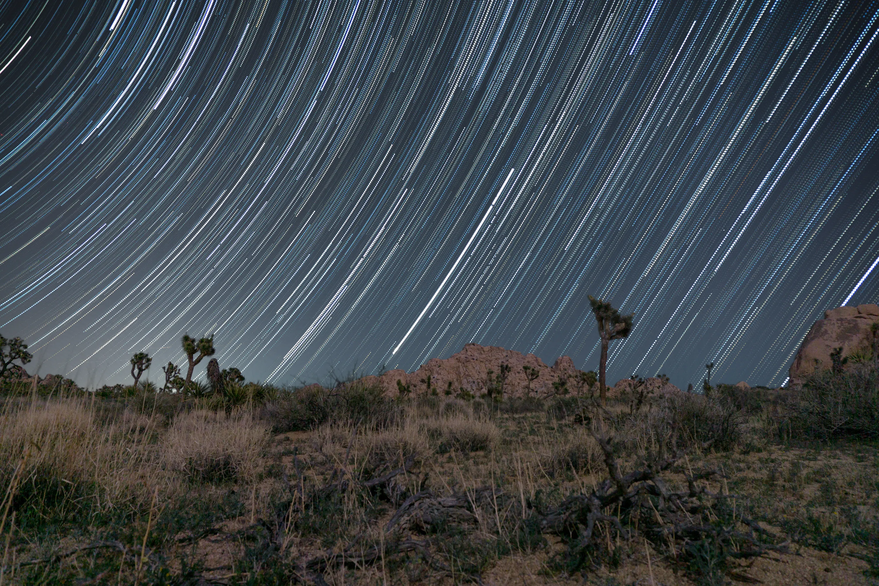 Joshua Trees dotting a desert landscape with rock formations