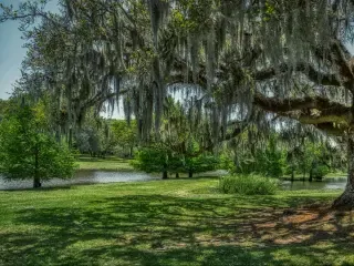 Discover Incredible States to Visit Near Texas