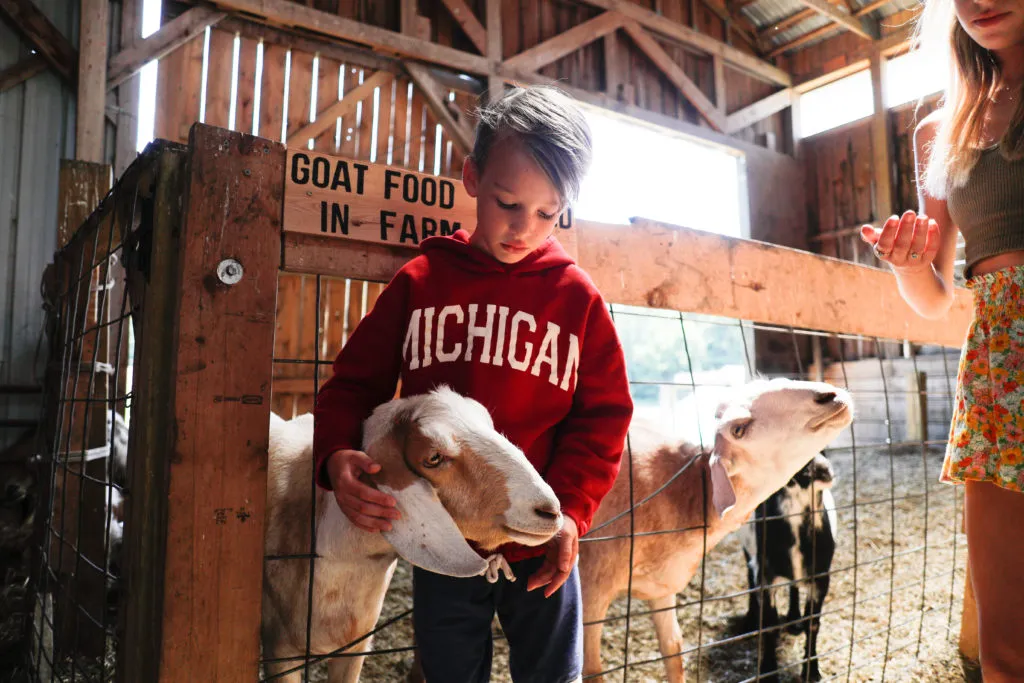 Kids interact with goats at Pond Hill Farm near Harbor Springs.