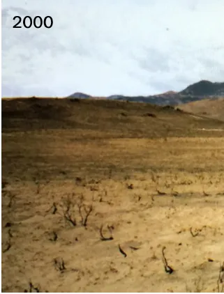 Navigating Lake Tahoe's Chilly Depths - Understanding the lake tahoe nevada temperature Landscape photo taken in 2000 showing barren land after the Camp Creek Fire on Cottonwood Ranch, Nevada
