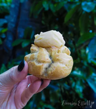Liliha Bakery Coco Puff