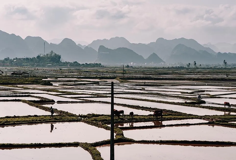 Limestone karsts shrouded in mist in Phong Nha, Vietnam, suggesting unpredictable weather.