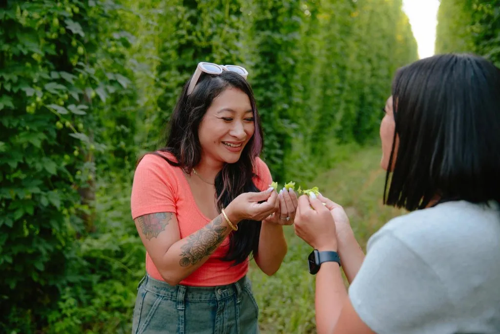 Local Foods to Try in Washington.