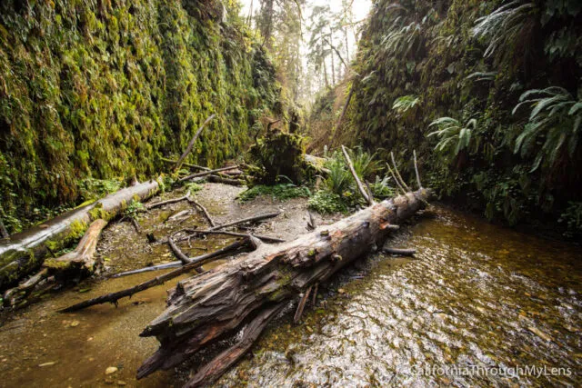 Epic Hiking Trips California - Unforgettable Trails Await Epic Hiking Trips California - Unforgettable Trails Awaitnia hiking trip