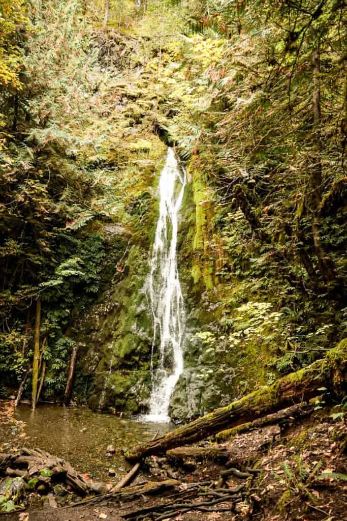 madison falls in olympic national park