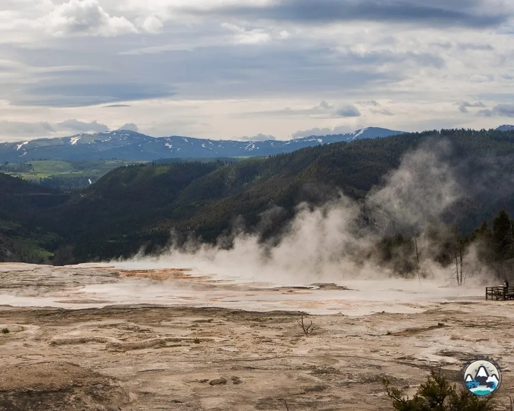 Mammoth hot spring geysers, Yellowstone, Wyoming