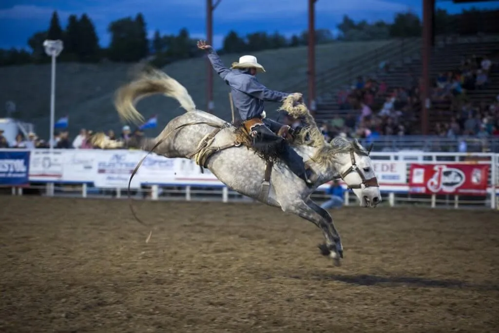 Man riding a bucking horse at the Cody Night Rodeo with a crowd in the stadium - Exciting Things To See And Do In Wyoming