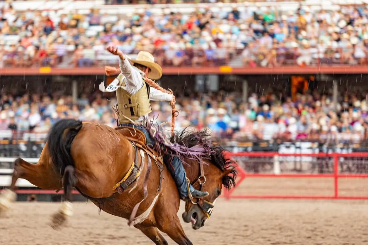 Man riding a bucking horse in a stadium at Cheyenne Frontier Days Rodeo - Exciting Things To See And Do In Wyoming