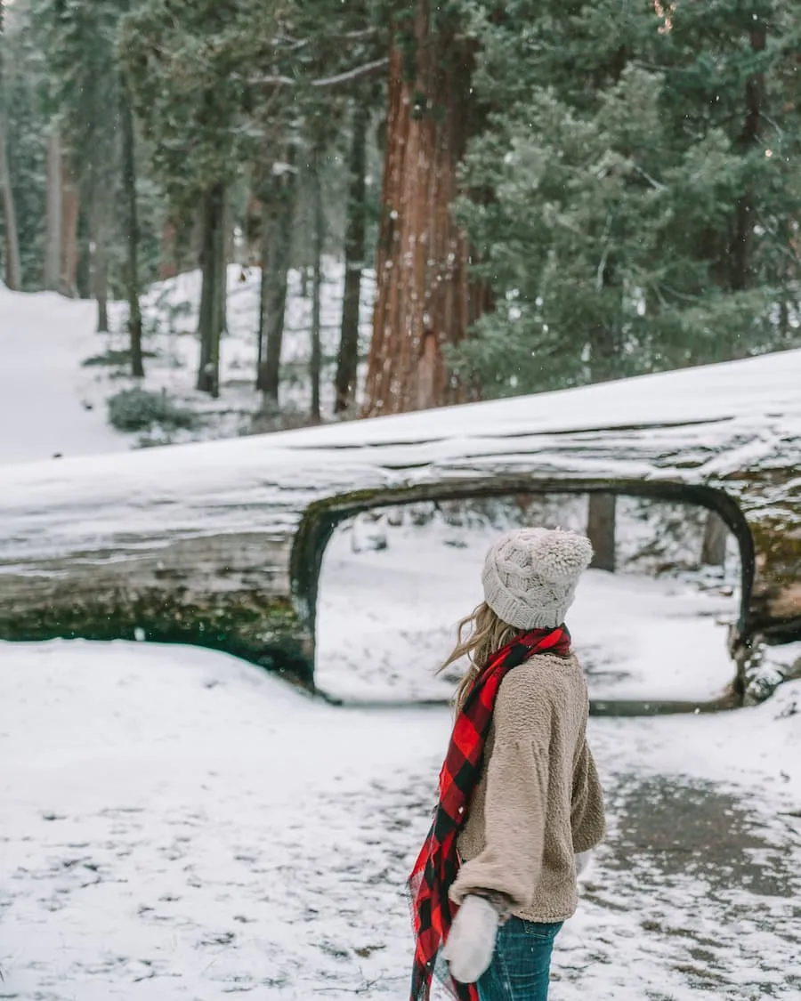 Michelle Halpern standing near the Sequoia Tunnel Log in the snow