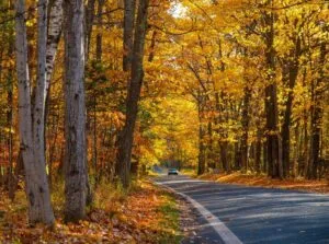 Experiencing the Best Color Tour Michigan - The M119 Tunnel of Trees