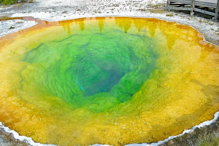 Morning Glory Pool, Yellowstone National Park