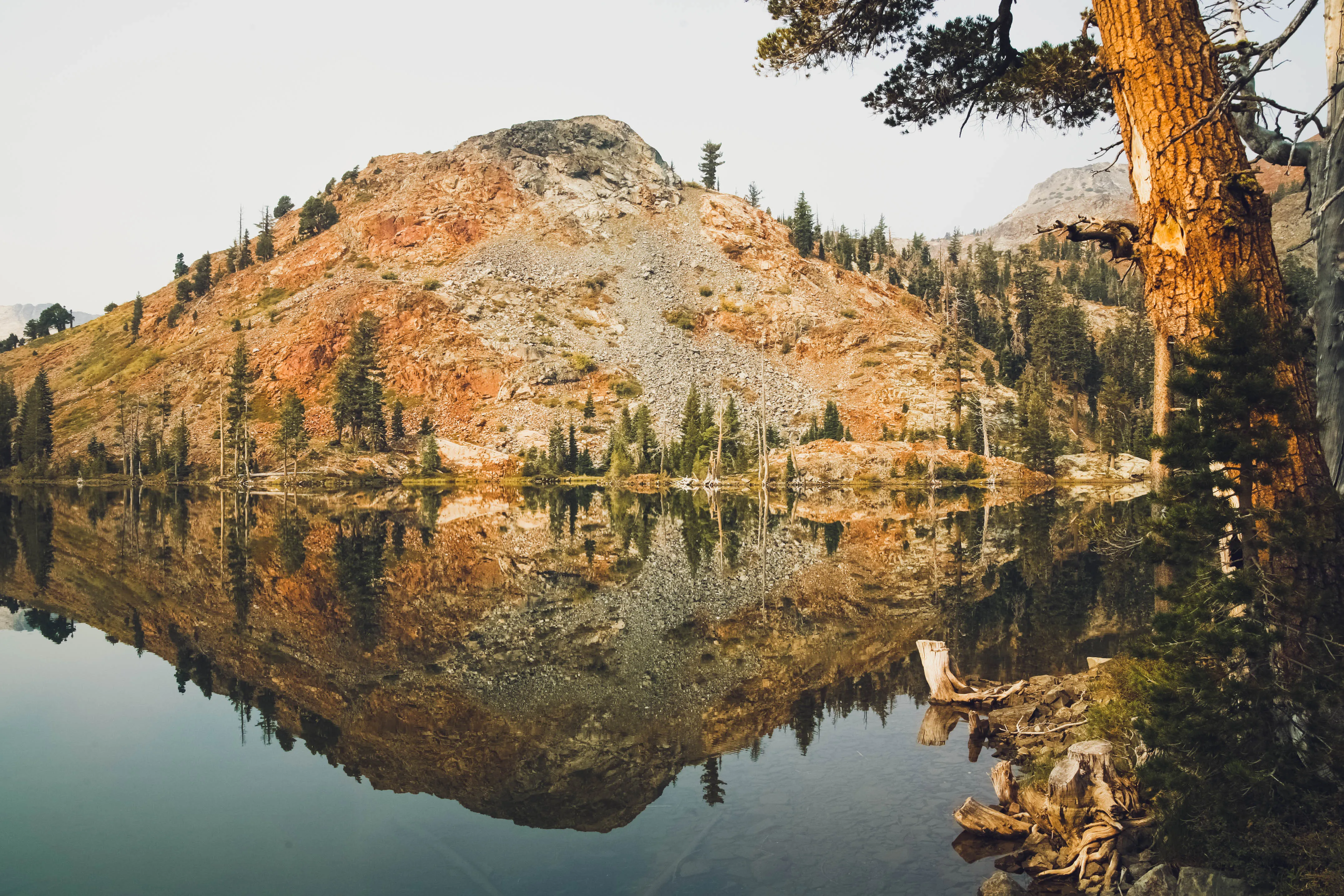 Mountain lake surrounded by trees and rocky peaks in Desolation Wilderness