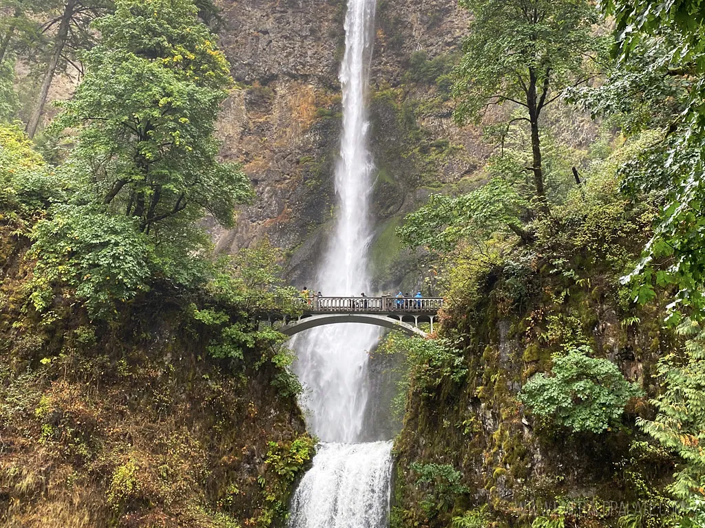 Multnomah Falls cascading in the Columbia River Gorge