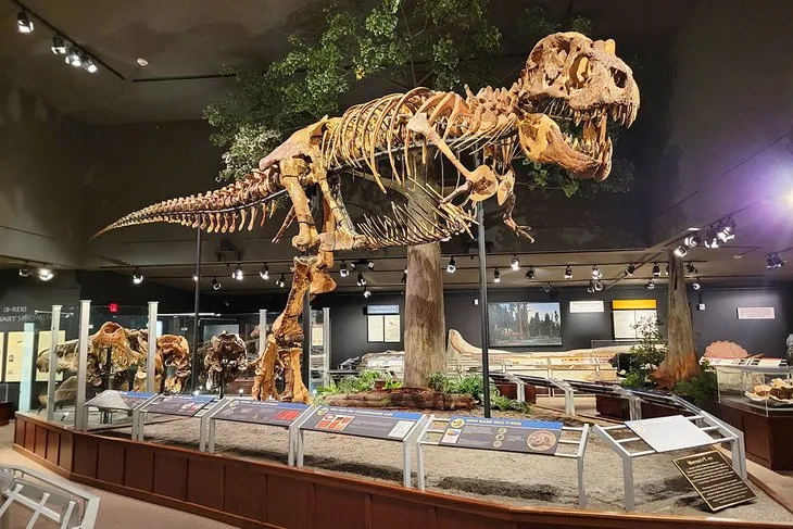Museum of the Rockies