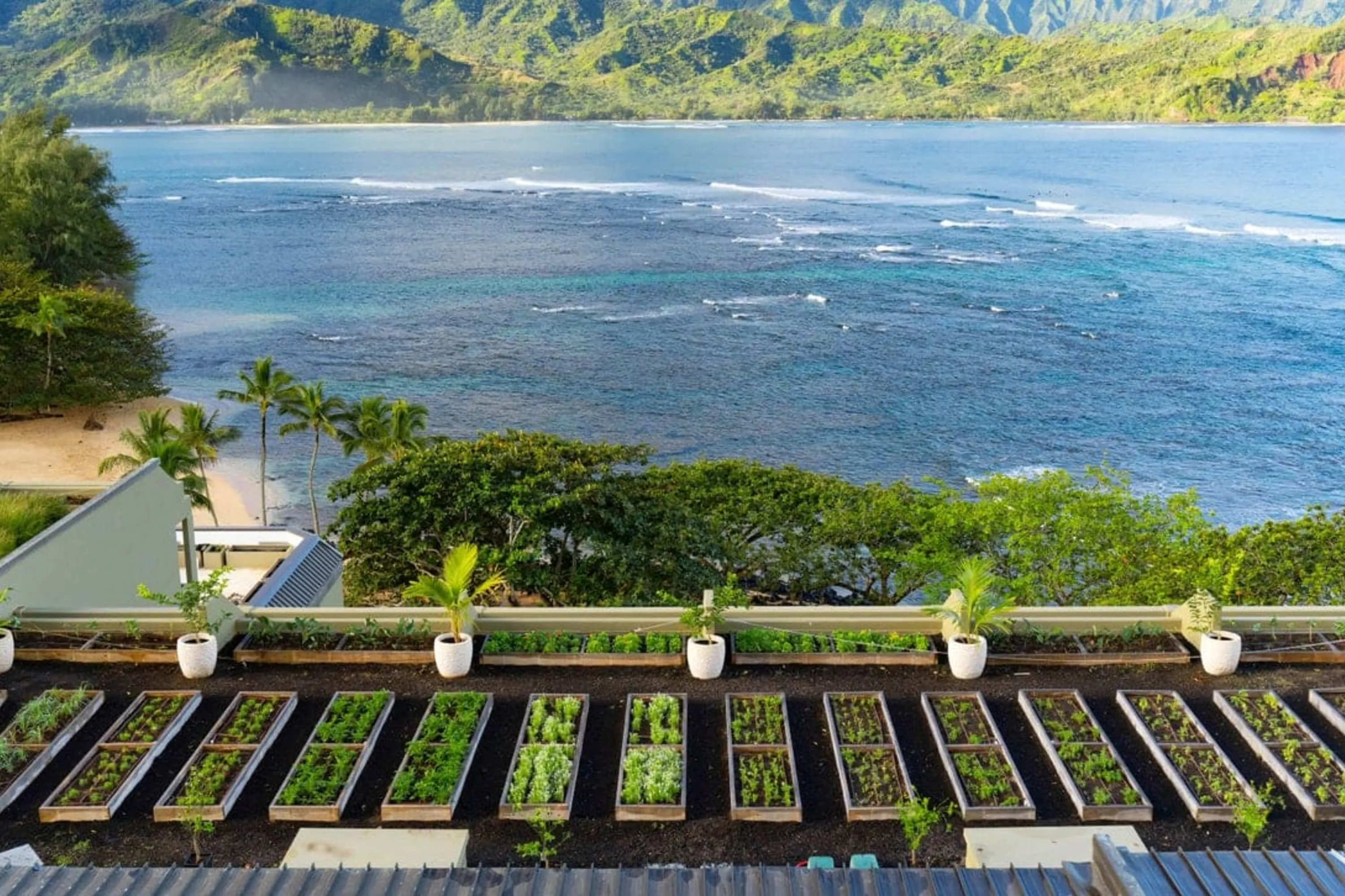 Neatly organized garden on a rooftop that overlooks a large lagoon on Kauai. In the distance, lush mountains