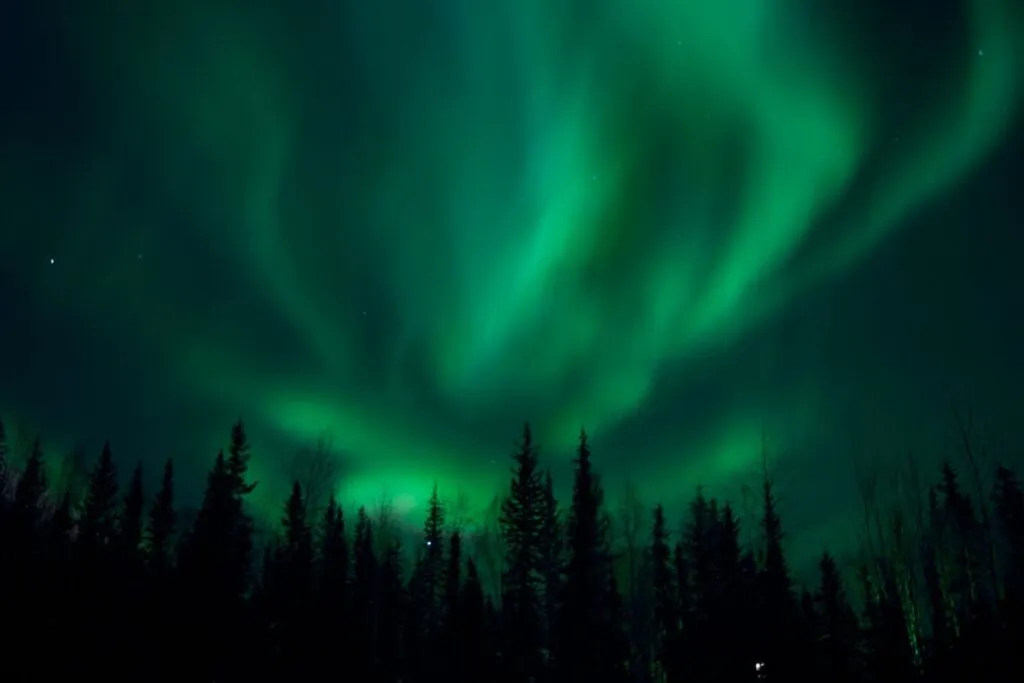 Night sky covered by the Northern Lights in Fairbanks, Alaska