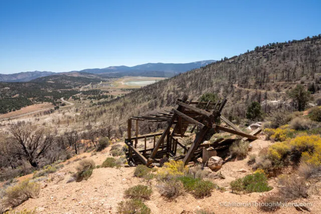 Off-road vehicle on a dirt trail in a forested mountain area
