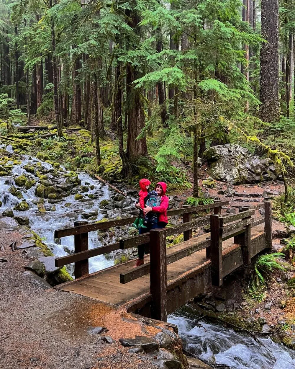 olympic national park hiking