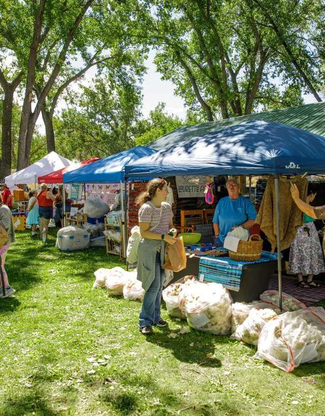 Outdoor event with tents and vendors with shoppers carrying goods